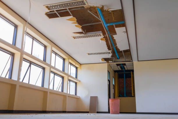 Best Carpet water damage restoration  in Burr Ridge, IL