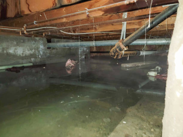 Best Water damage restoration near me  in Burr Ridge, IL