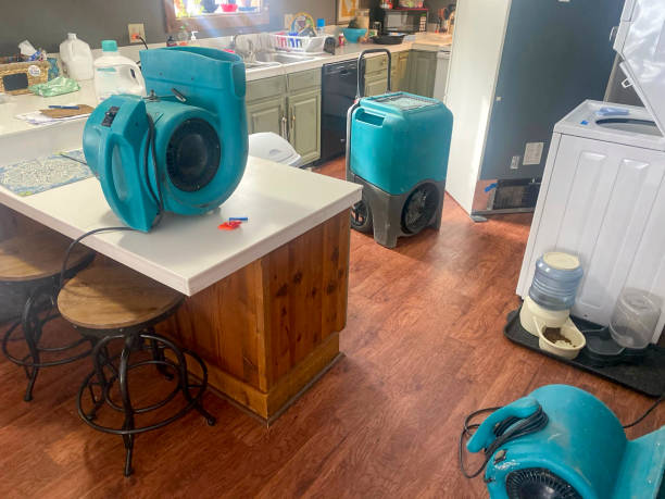 Best Professional water damage repair  in Burr Ridge, IL