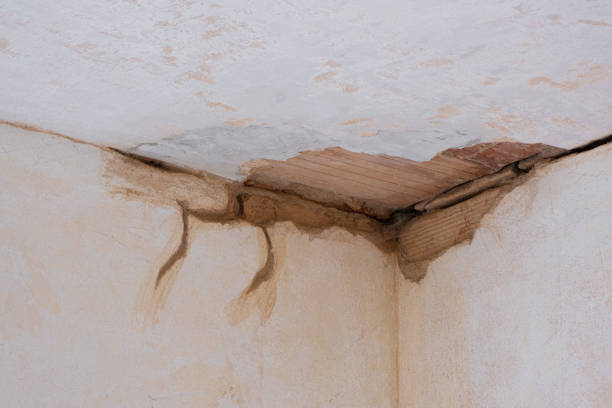 Best Water damage restoration experts  in Burr Ridge, IL