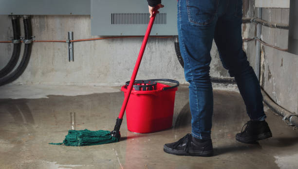 Best Emergency water damage restoration  in Burr Ridge, IL