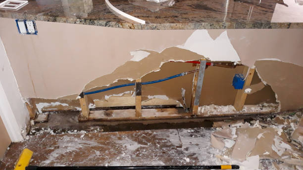Best 24-hour water damage restoration  in Burr Ridge, IL