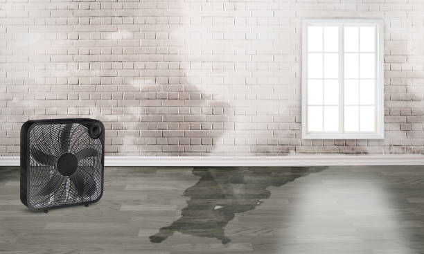 Best Water damage repair service  in Burr Ridge, IL