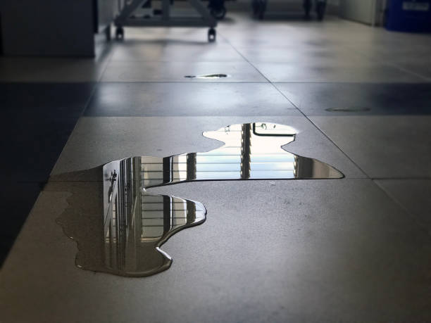 Water damage restoration insurance claims in Burr Ridge, IL