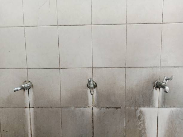 Best Flood damage cleanup  in Burr Ridge, IL