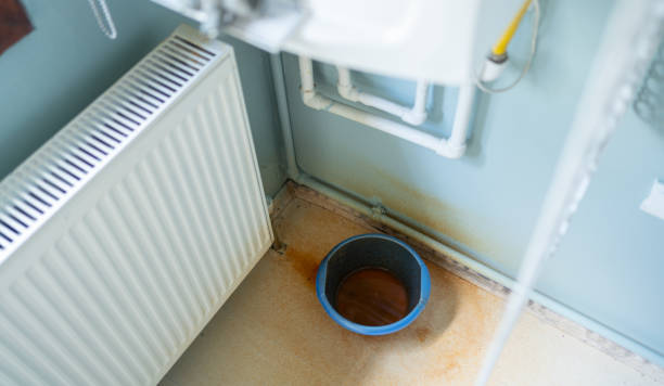 Best Water damage cleanup near me  in Burr Ridge, IL