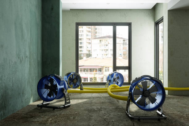 Best Basement water damage restoration  in Burr Ridge, IL