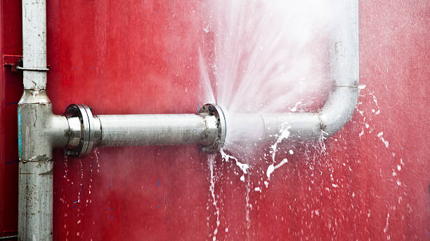 Best Mold removal after water damage  in Burr Ridge, IL